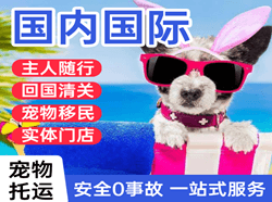 包头东河空运代理国际宠物托运 【国